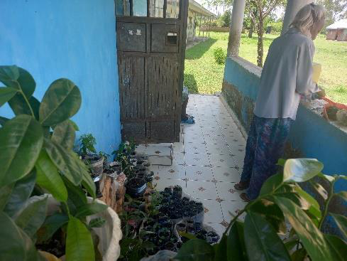 Cricket Farming for Nutrition